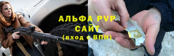 индика Козловка