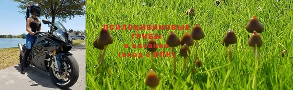кокаин колумбия Белокуриха