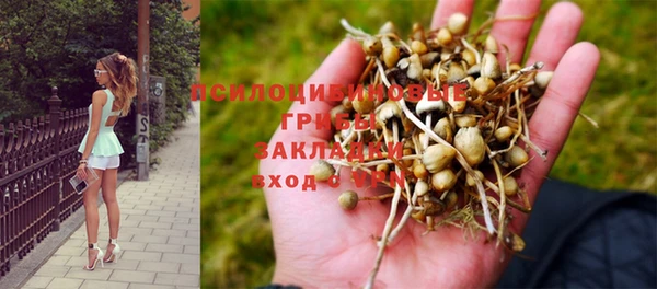 ешки Белоозёрский