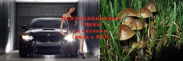 альфа пвп Беломорск