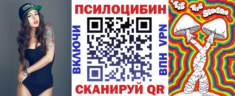 Псилоцибиновые грибы Psilocybine cubensis  Бугульма 