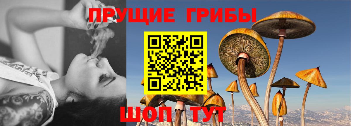 Псилоцибиновые грибы мухоморы  Вход с VPN  Бугульма 